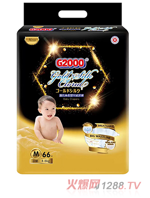 G2000�o���z��냺����ѝM66Ƭ