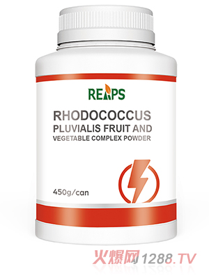 �����t������ߏͺϷ�