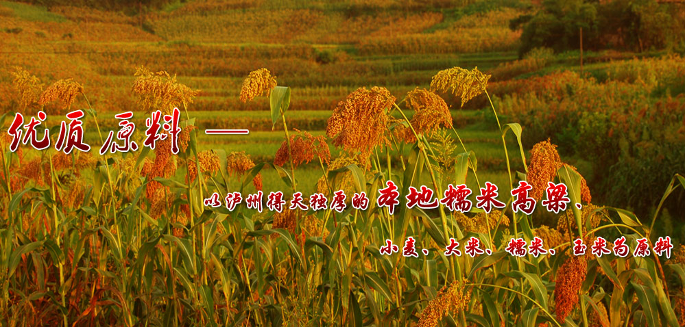 ����ɽ��(zh��n)�԰l(f��)����ĸ��l(f��)չՓ���F(xi��n)��